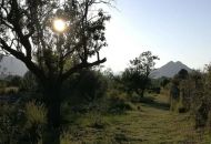 Sale - Villa - 