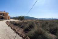 Sale - Finca - Pinoso