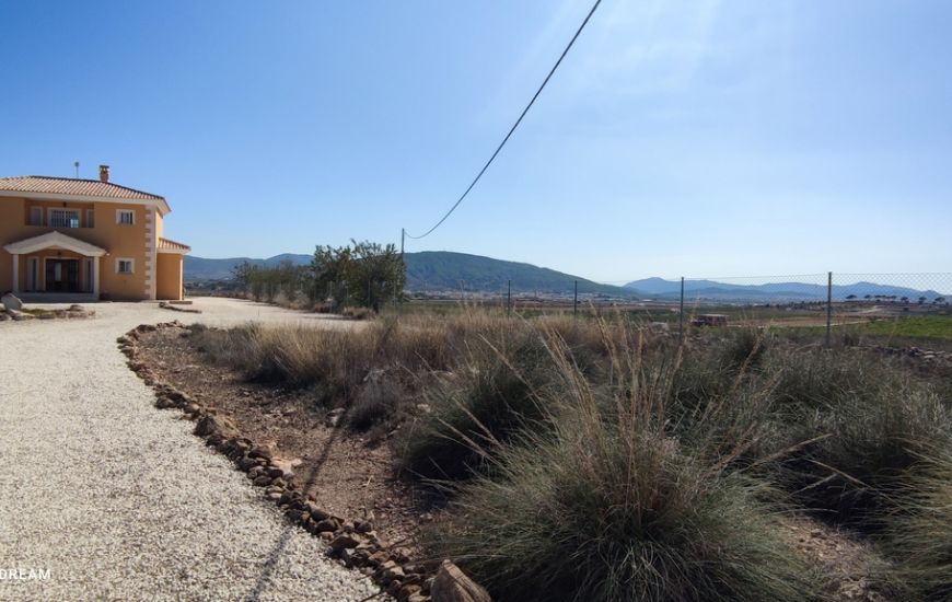 Sale - Finca - Pinoso