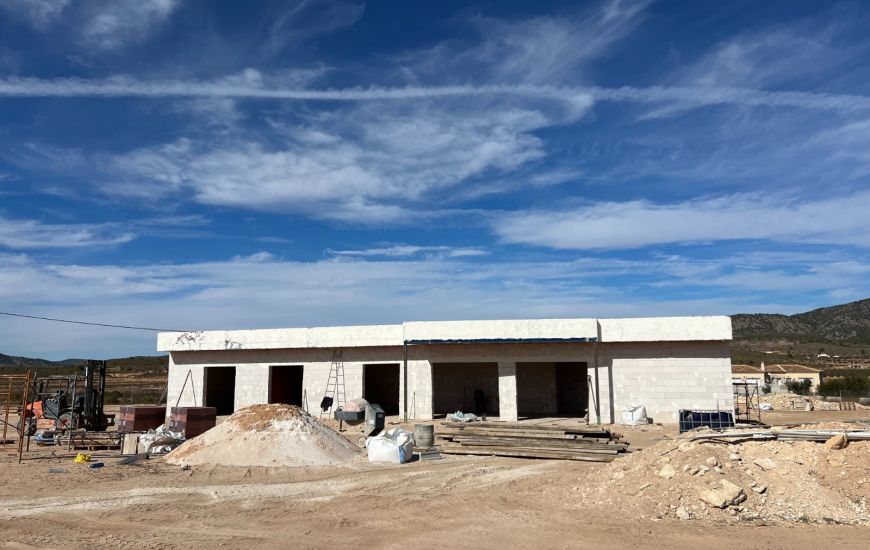 Nueva construcción  - Casa Rural - Pinoso