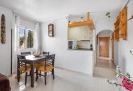Venta - Apartamentos - Torrevieja