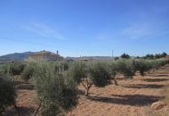 Sale - Finca - Hondon de los Frailes