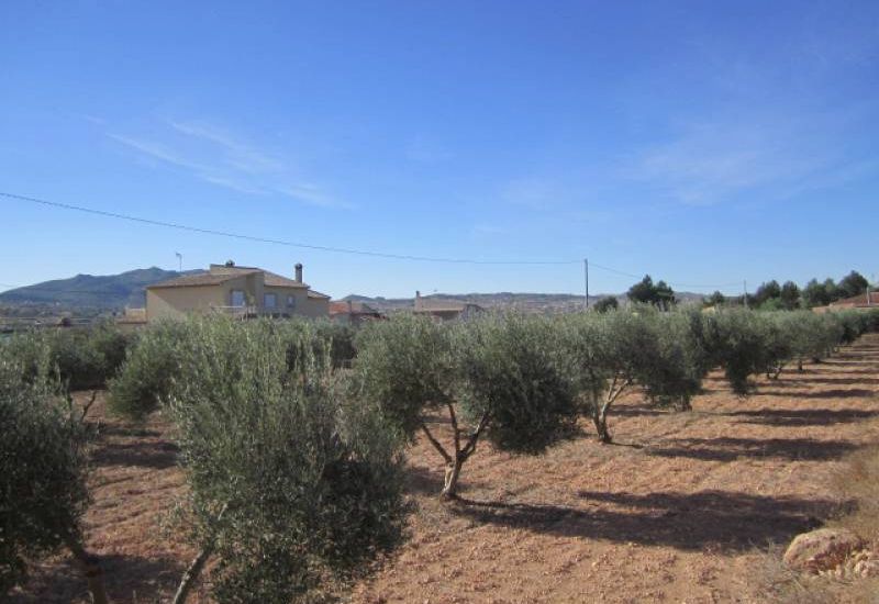 Sale - Finca - Hondon de los Frailes