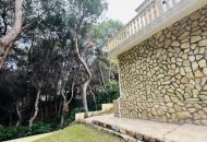 Venta - Apartamentos - 