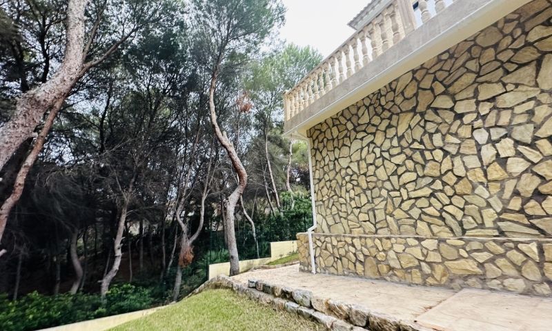 Venta - Apartamentos - 