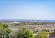 Sale -  - San Miguel de Salinas - San Miguel