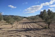 Venta - Casa Rural - Salinas