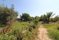 Venta - Casa Rural - Aspe