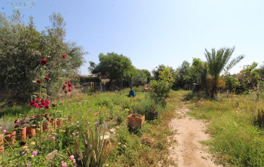 Venta - Casa Rural - Aspe
