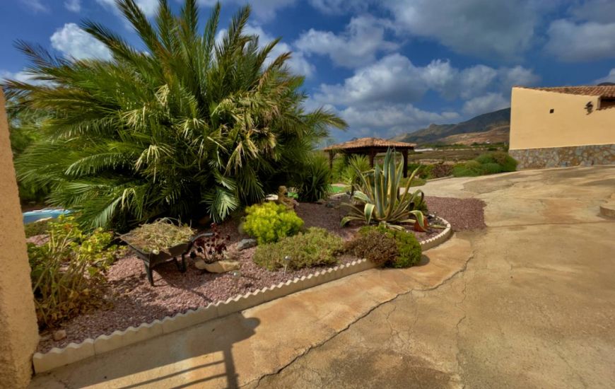 Sale - Finca - Orihuela
