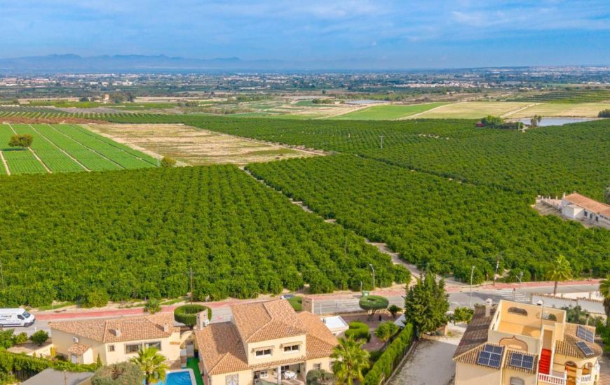 Venta - Villa - Algorfa