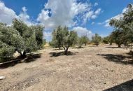 Sale - Country Property - Catral