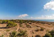 Venta - Apartamentos - Punta Prima