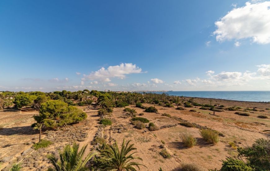 Venta - Apartamentos - Punta Prima