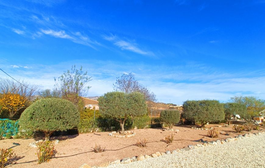 Sale - Country Property - Hondon de los Frailes