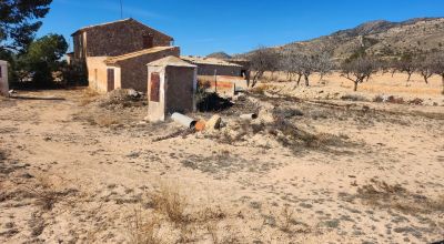 Finca - Sale - Pinoso - Pinoso