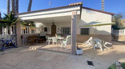 Country Property - Sale - Algorfa - Algorfa