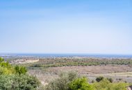 Sale -  - San Miguel de Salinas - San Miguel