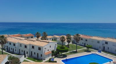 Apartamentos - Venta - Playa Flamenca - Playa Flamenca