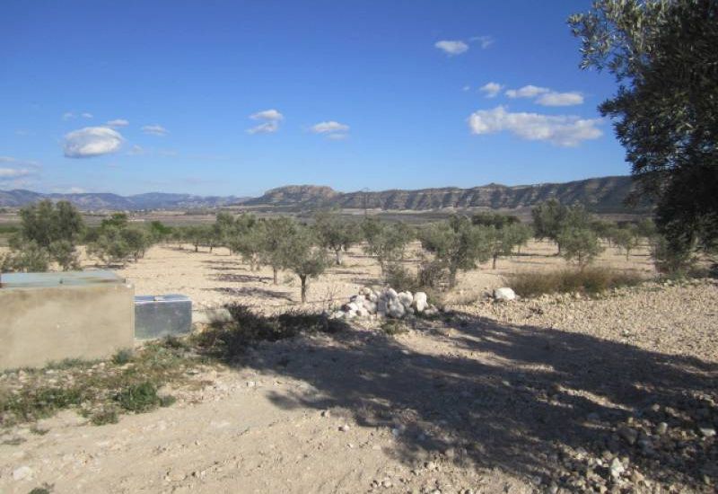 Venta - Casa Rural - Salinas