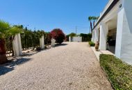 Sale - Finca - Torrellano