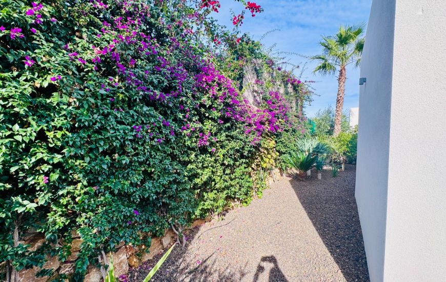 Venta - Villa - Algorfa