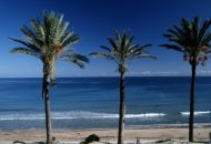 Sale - Bungalow - Pilar de la Horadada