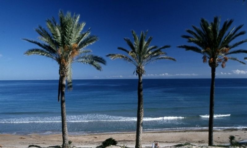 Sale - Bungalow - Pilar de la Horadada