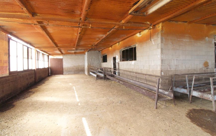 Venta - Casa Rural - Aspe pedanias