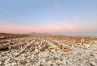 Sale - Land - Novelda