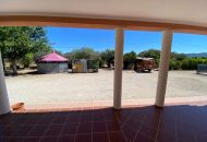 Sale - Finca - Salinas