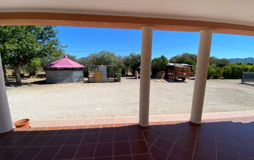 Sale - Finca - Salinas