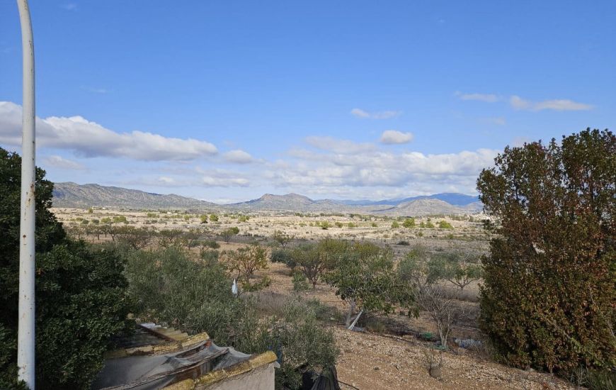 Sale - Country Property - Monovar