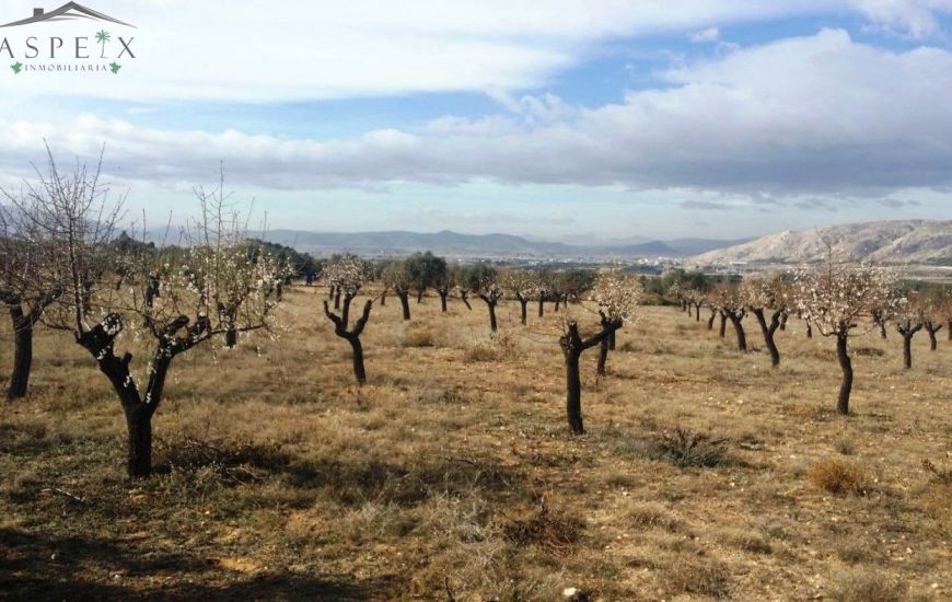 Venta - Terreno - Biar