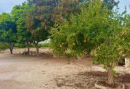 Sale - Apartments - Rojales