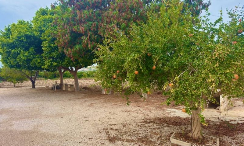 Sale - Apartments - Rojales