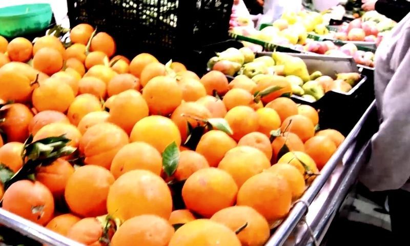 Venta - Apartamentos - Torrevieja