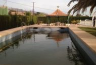 Sale - Finca - Sax