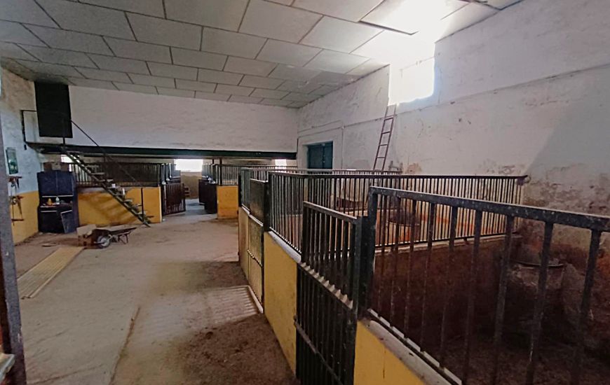 Sale - Country Property - Monovar