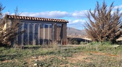 Terreno - Venta - Hondón de las Nieves - Hondón de las Nieves