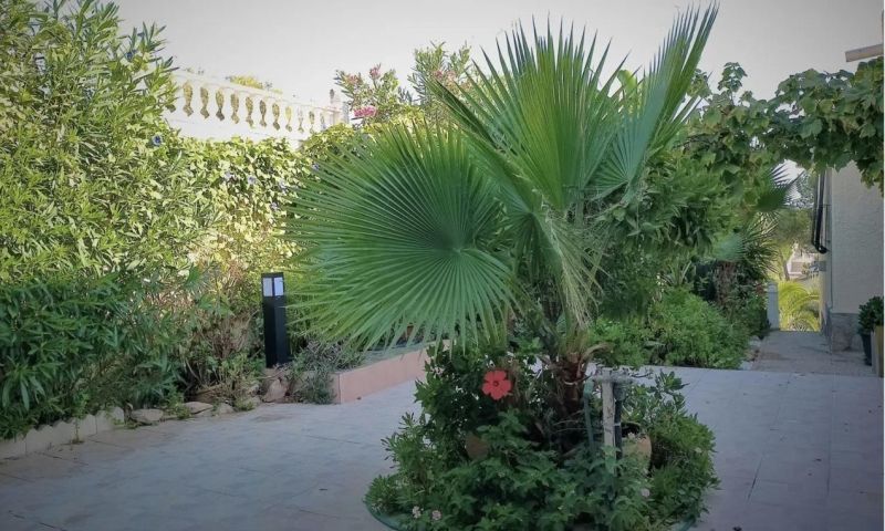Sale - Villa - Torrevieja