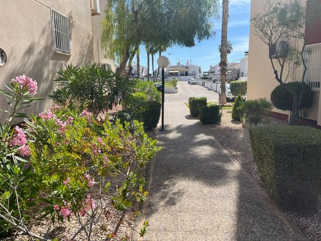 Sale - Apartments - Playa Flamenca