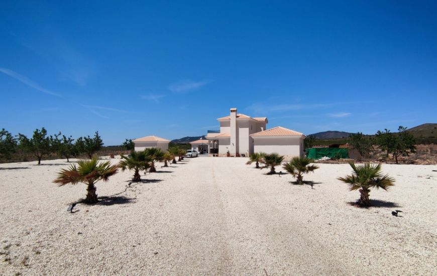 Venta - Casa Rural - Pinoso