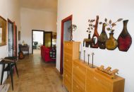 Sale - Finca - Dolores