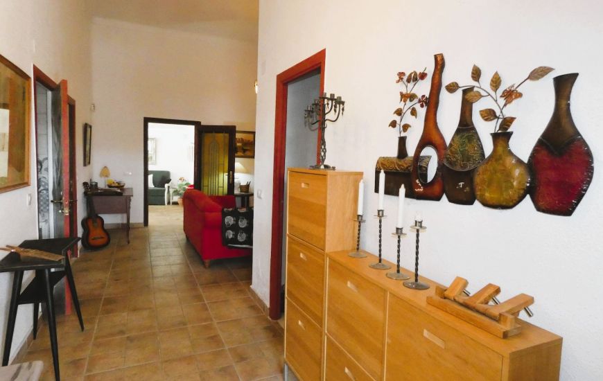 Sale - Finca - Dolores
