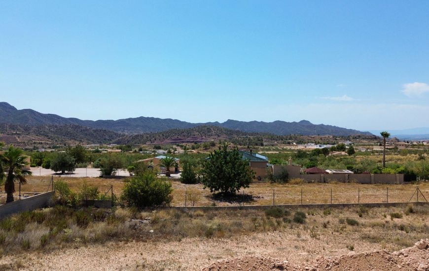 Sale - Finca - Macisvenda