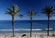 New Build - Bungalow - Pilar de la Horadada