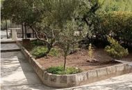 Sale - Apartments - 