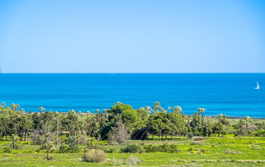 Venta - Apartamentos - Orihuela Costa