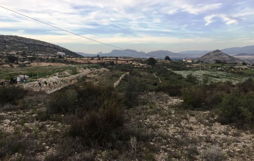 Sale - Land - Novelda